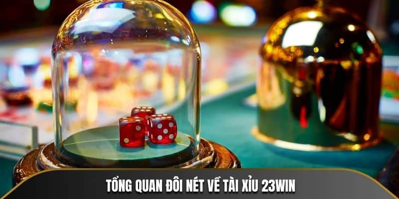 Tổng quan đôi nét về Tài Xỉu 23WIN